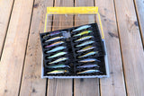 Top view of FishMore T3 Pro Tackle Box fitting Megabass Vision ONETEN(+1)(+2) lures in Plano 3700 Edge size